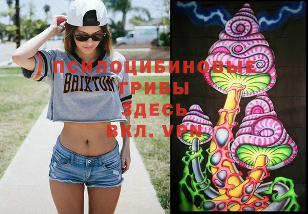 PSILOCYBIN Нефтекумск