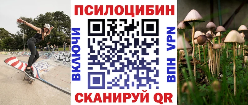 Псилоцибиновые грибы Cubensis  Кудрово 