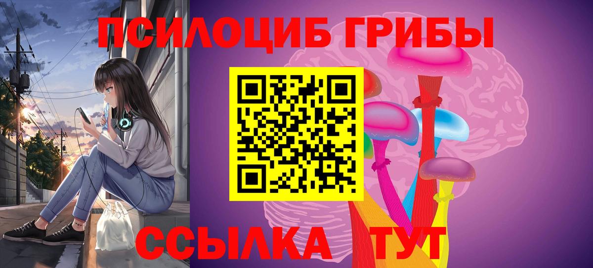 Галлюциногенные грибы Cubensis  Вход с VPN  Галлюциногенные грибы Psilocybine cubensis  Кудрово 